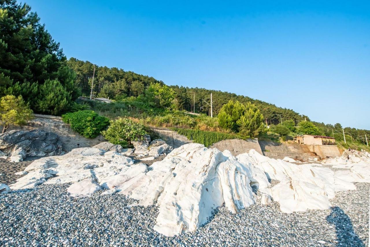 Park-Hotel Abkhazia Tsandrypsj Eksteriør bilde